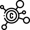 Vitamin B6 & C